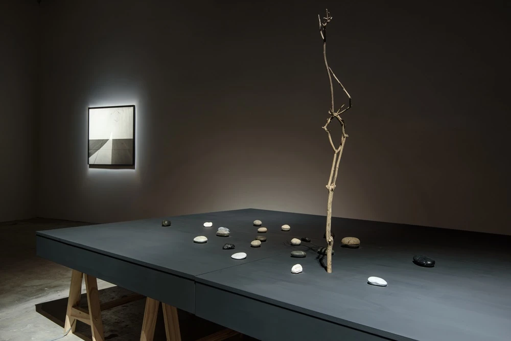 《空山》，2016，動力裝置，環氧樹酯，壓克力，樹枝，木桌，65×200×300cm。©耿畫廊TKG+攝影-圖片